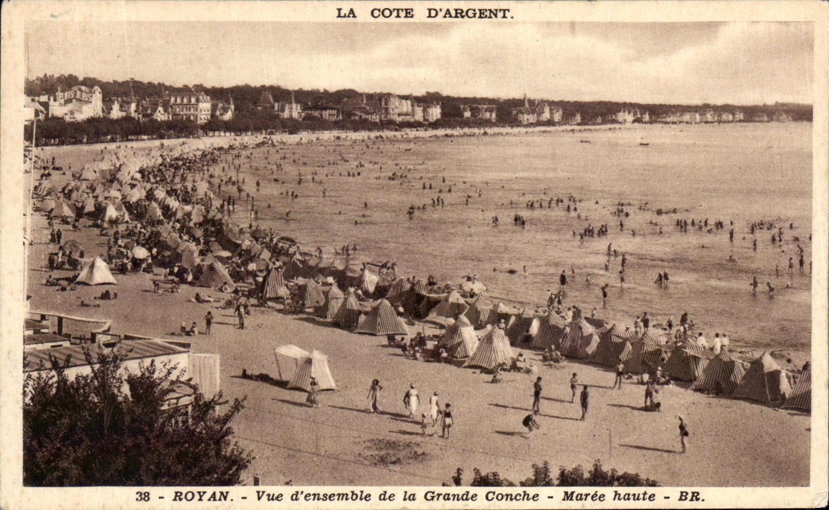CPA Royan Vue d'ensemble de la Grande Conche Maree haute
