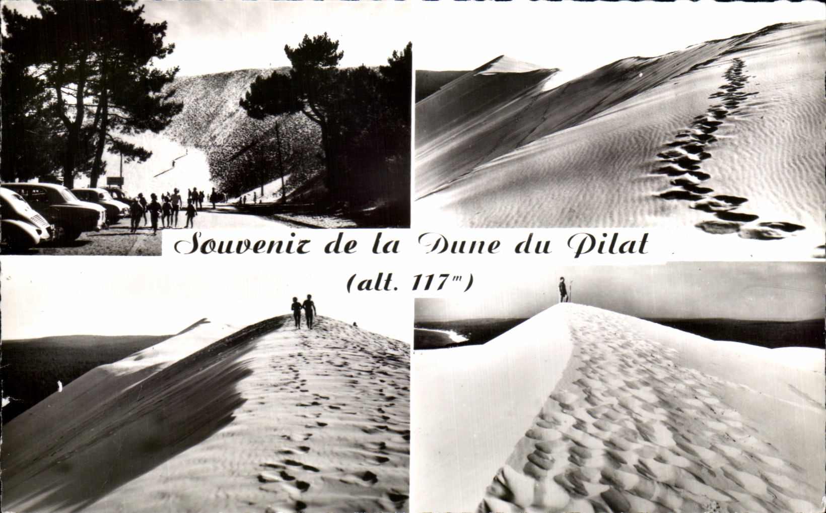 Dune du Pilat — Souvenirs (alt. 117m) — Réal-Printo