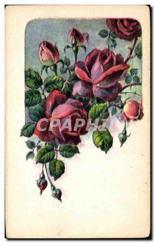 CPA Fantaisie Fleurs Roses