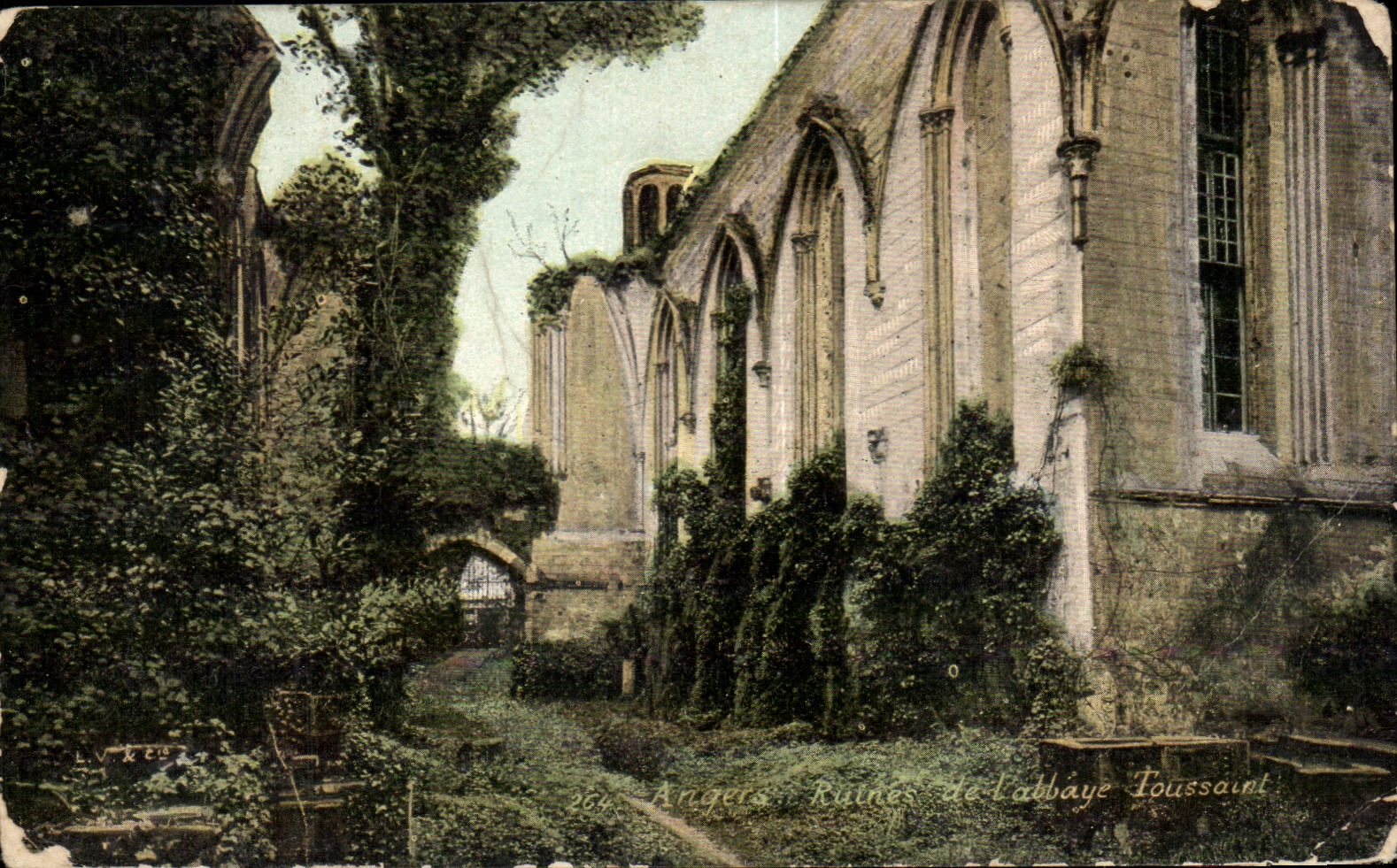 CPA Angers Ruines de l'Abbaye Toussaint