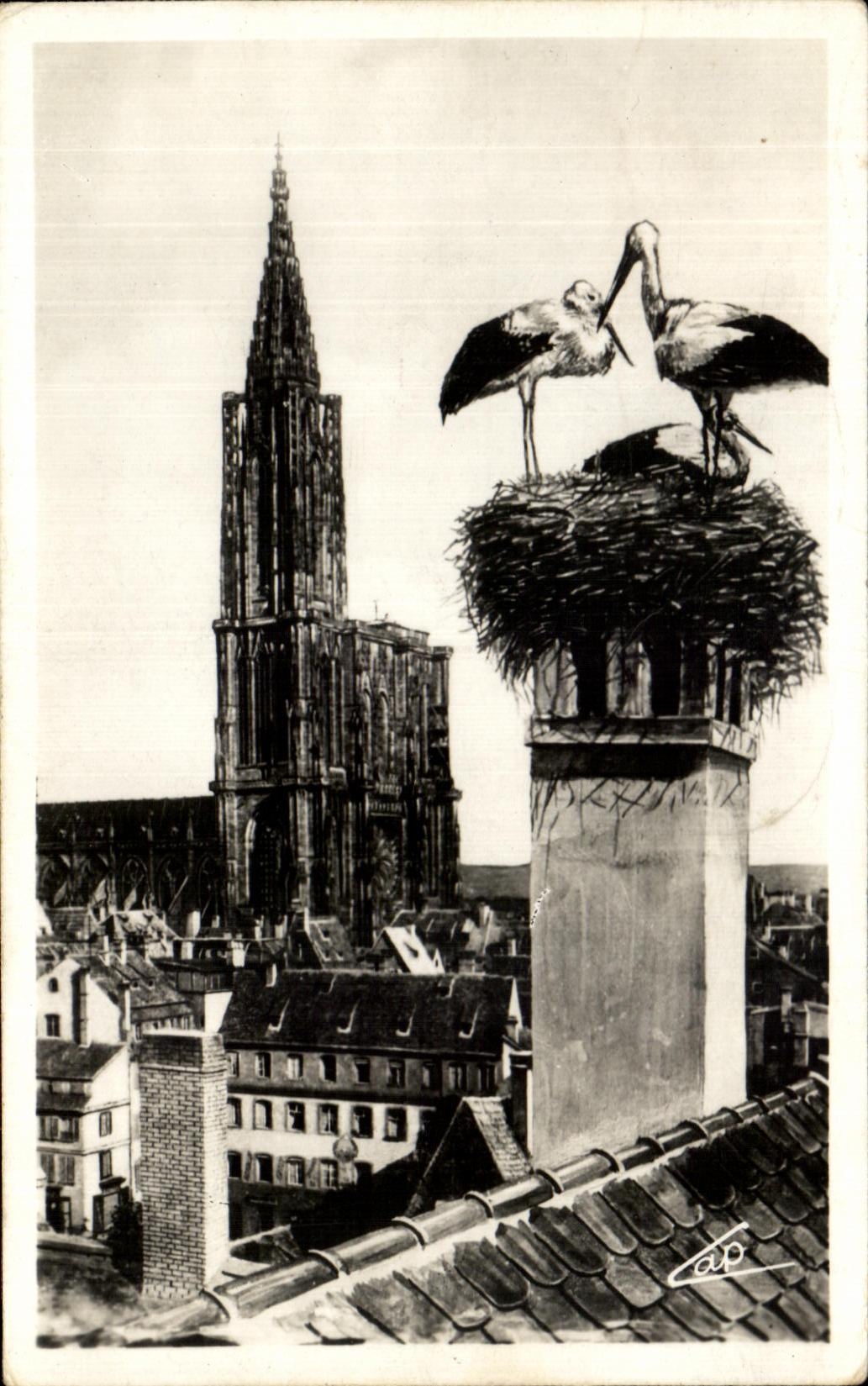 CPA Strasbourg Les Cigognes