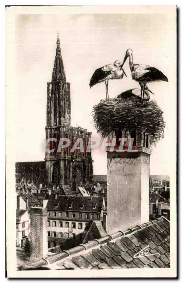 CPA Strasbourg Les Cigognes