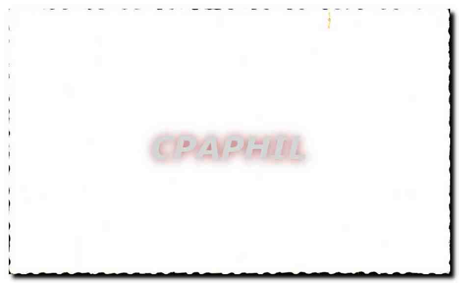 CPA Fantaisie Caleche Chevaux Bonne Annee — Verso