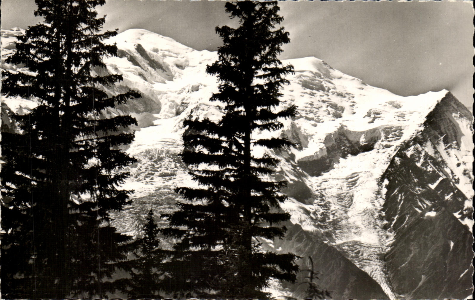 CPA Chamonix La Chaine du Mont Blanc Vue de la Charlanoz