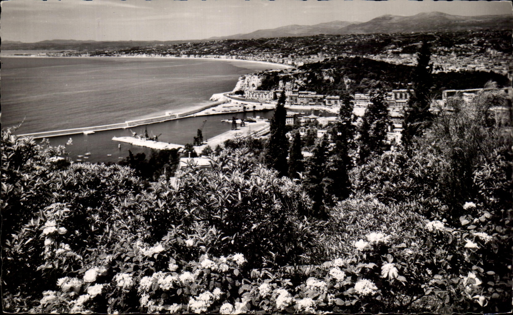 CPSM La Cote d'Azur Vue generale