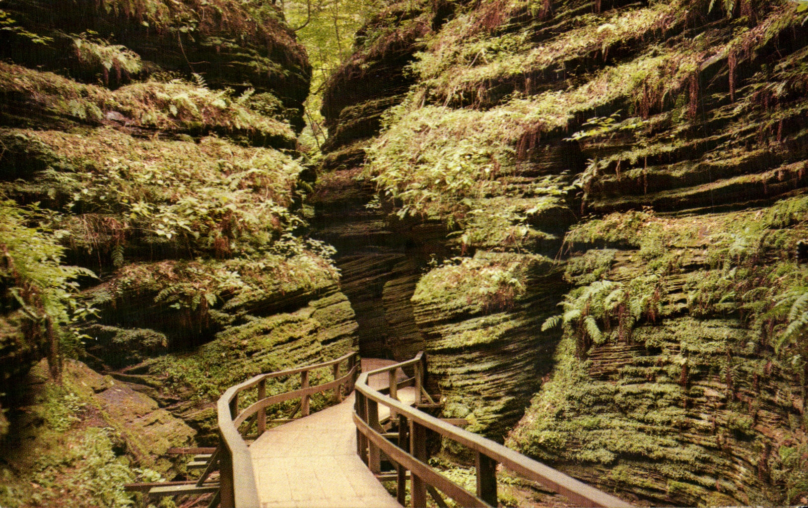 CPM Moss Chamber In Cold Water Canyon Wiconsin Dells 