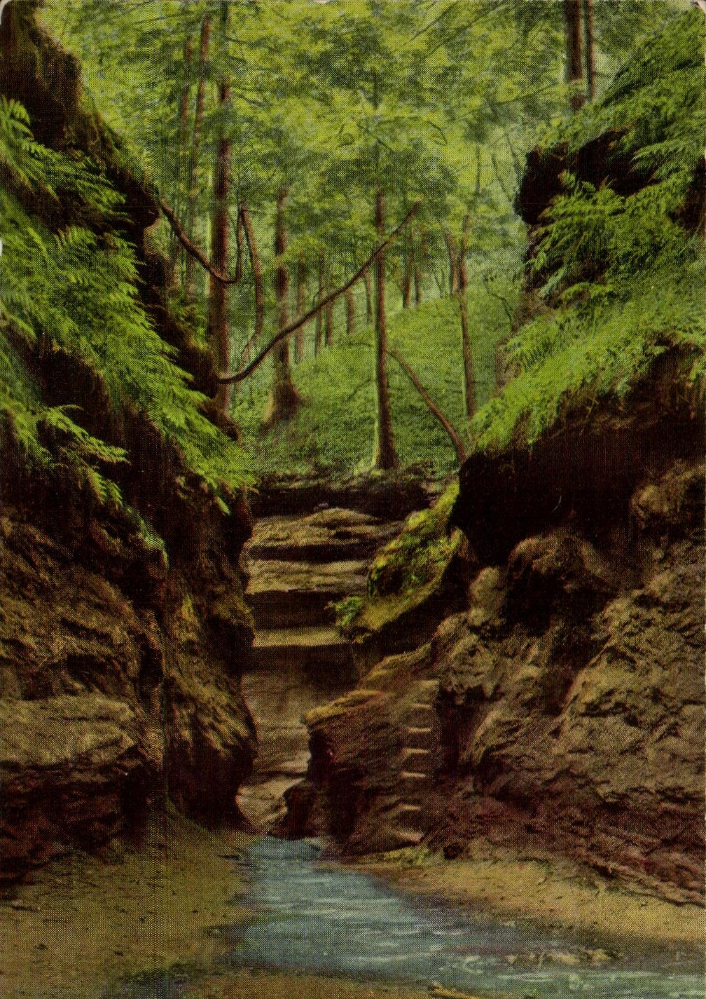 CPA Turkey Run State Park Marshall Indiana