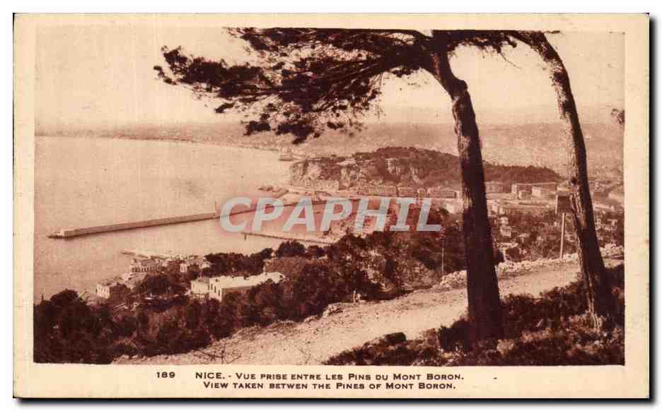 CPA Nice Vue Prise Entre Les Pins Du Mont Boron 