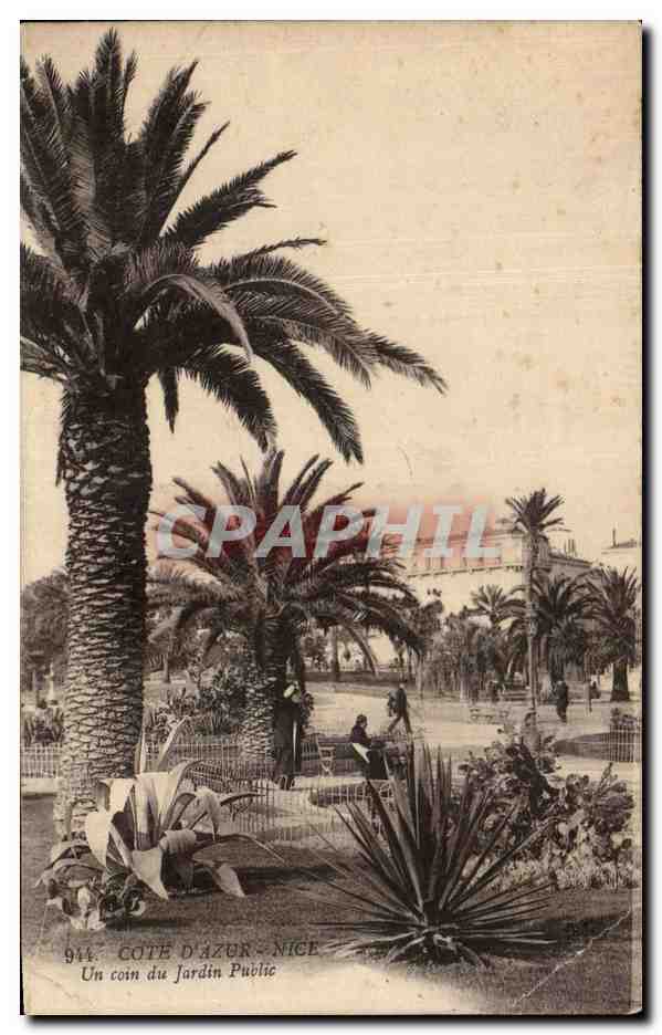 CPA Nice D'Azur Cote Un Coin du Jardin Public