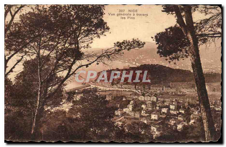 CPA Nice Vue Generale a travers les Pins