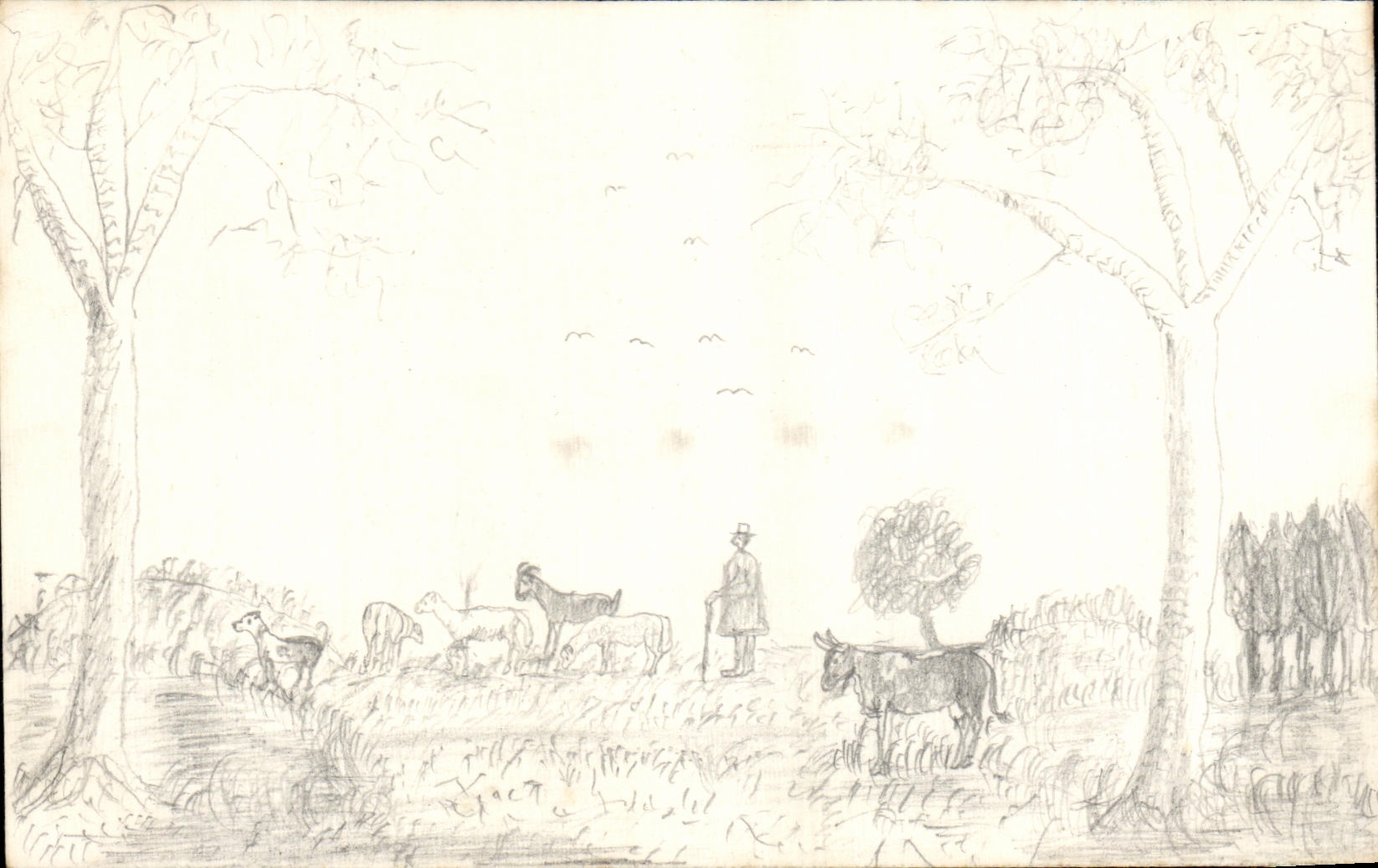 CPA Fantaisie Dessin a la main Moutons Chevre Vache 