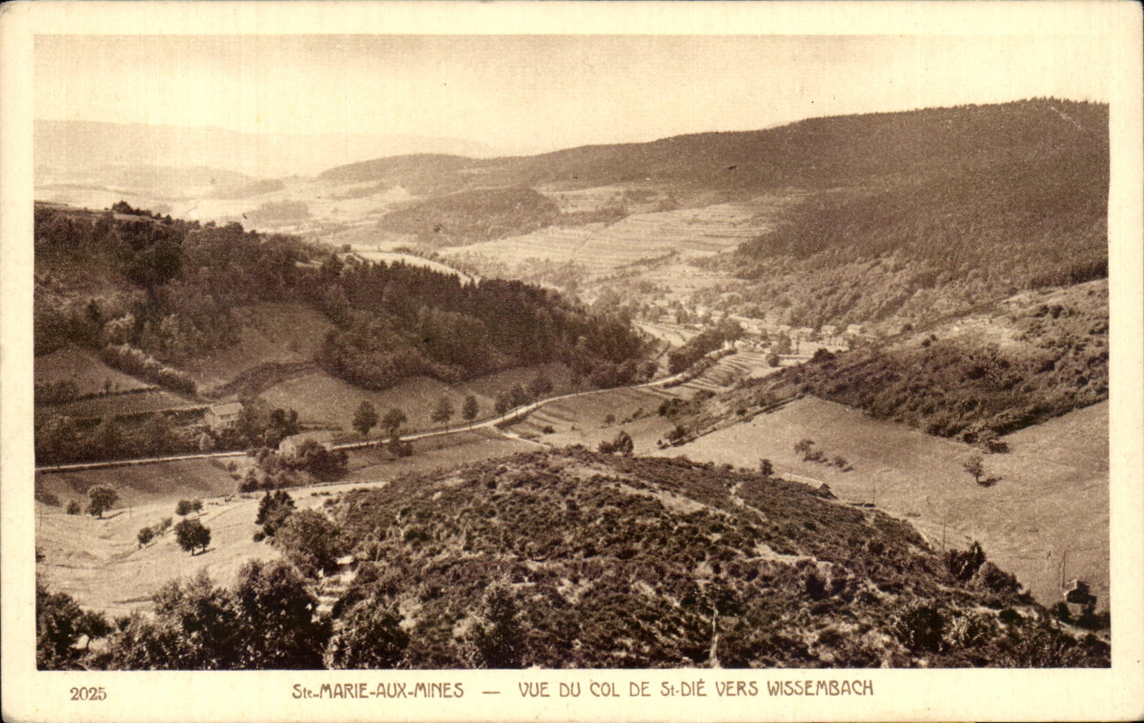 St-MARIE-AUX-MINES — Vue du col de St-Dié vers Wissembach — n° 2025