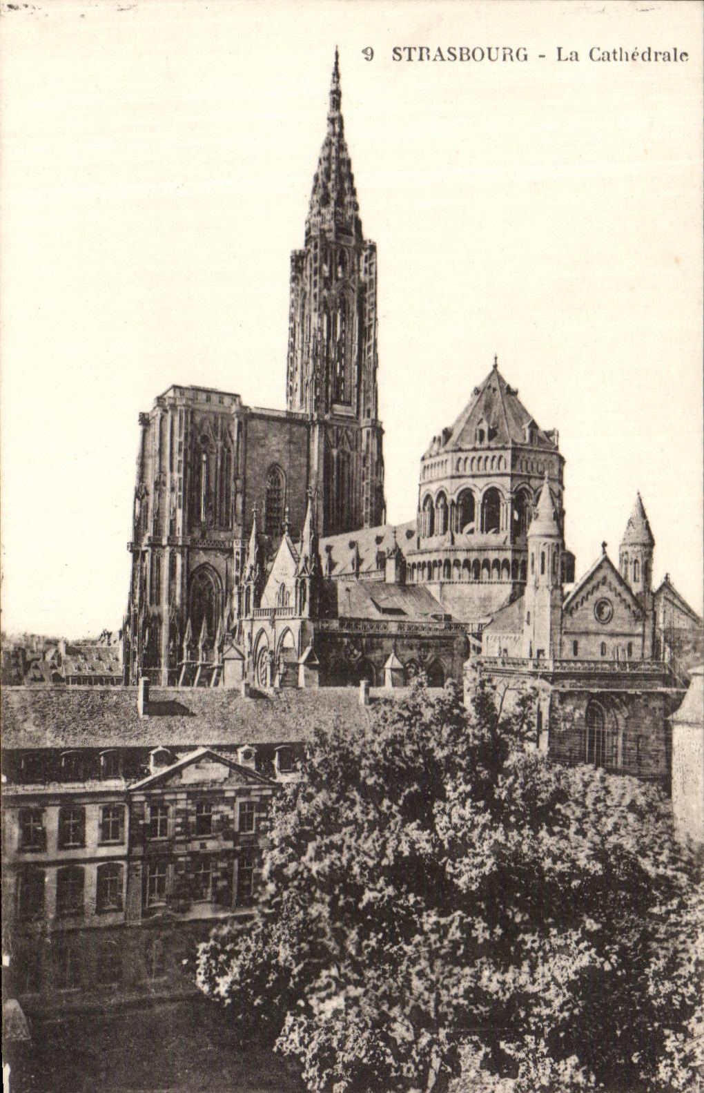 Strasbourg - La Cathédrale — vue panoramique — éditeur inconnu, n° 9