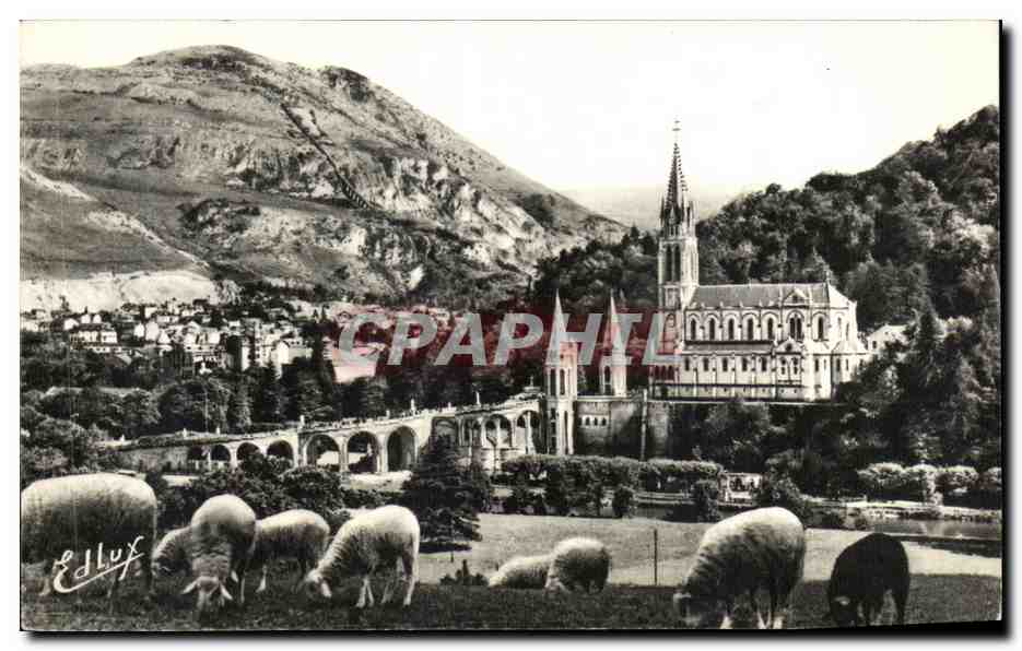 CPSM Lourdes La Basilique Et Le Pic Du Jer