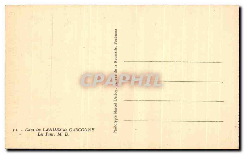 Les Pins — Landes de Gascogne — Phototypie Marcel Delboy, 33, rue de la Roussette, Bordeaux — Rückseite