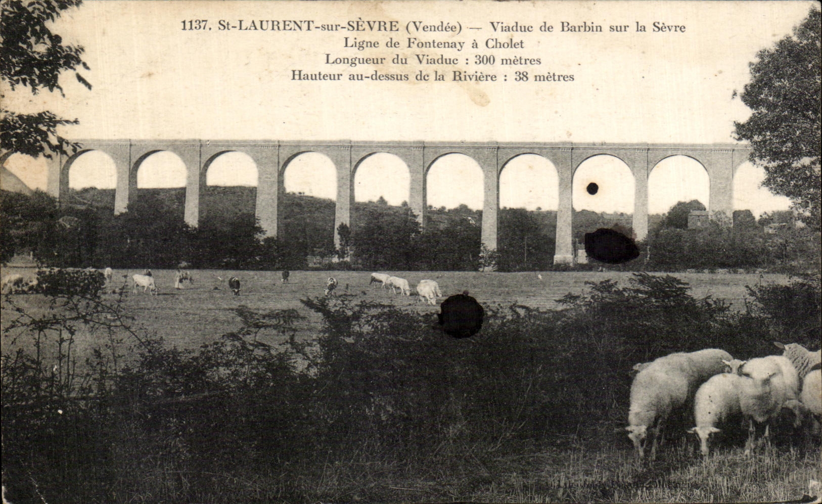 CPA St Laurent sur Sevre Viaduc de Barbin sur la Sevre Ligne de Fontenay a Cholet Moutons