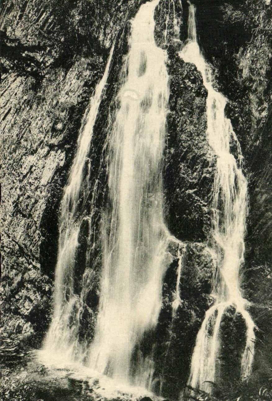 CPA Le Mont Dore Cascade De Queureilh