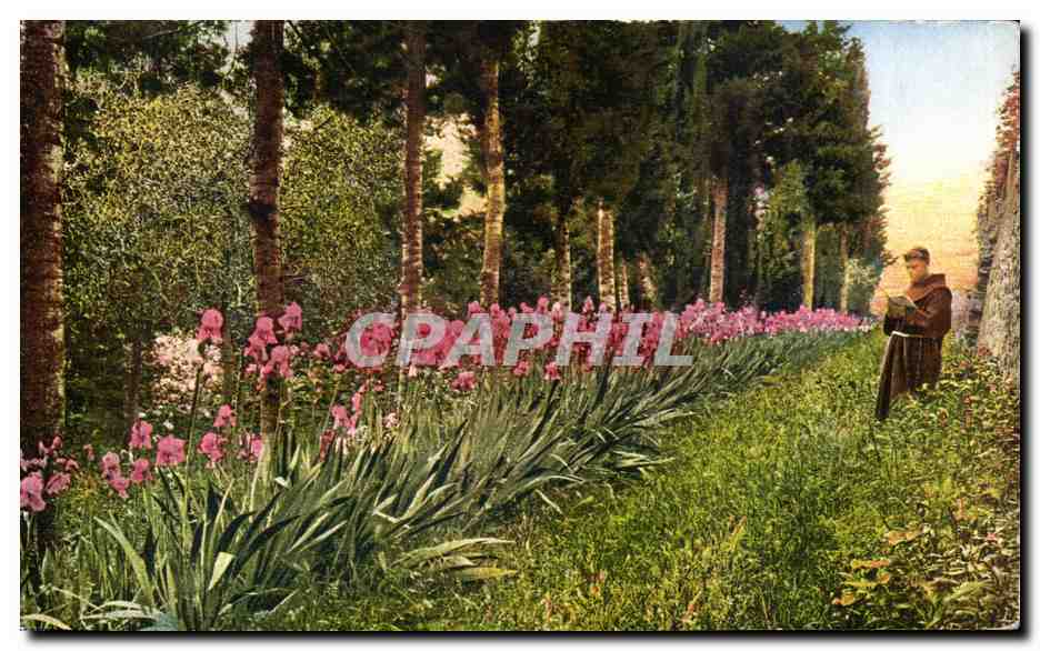 CPA Fiesole Giardino del Convento di Francescani