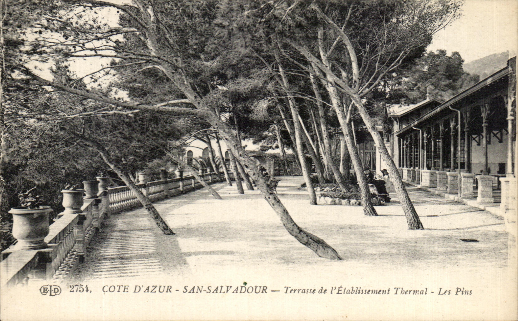 San-Salvadour — Terrasse de l'Établissement Thermal - Les Pins — E.P.D. 2754