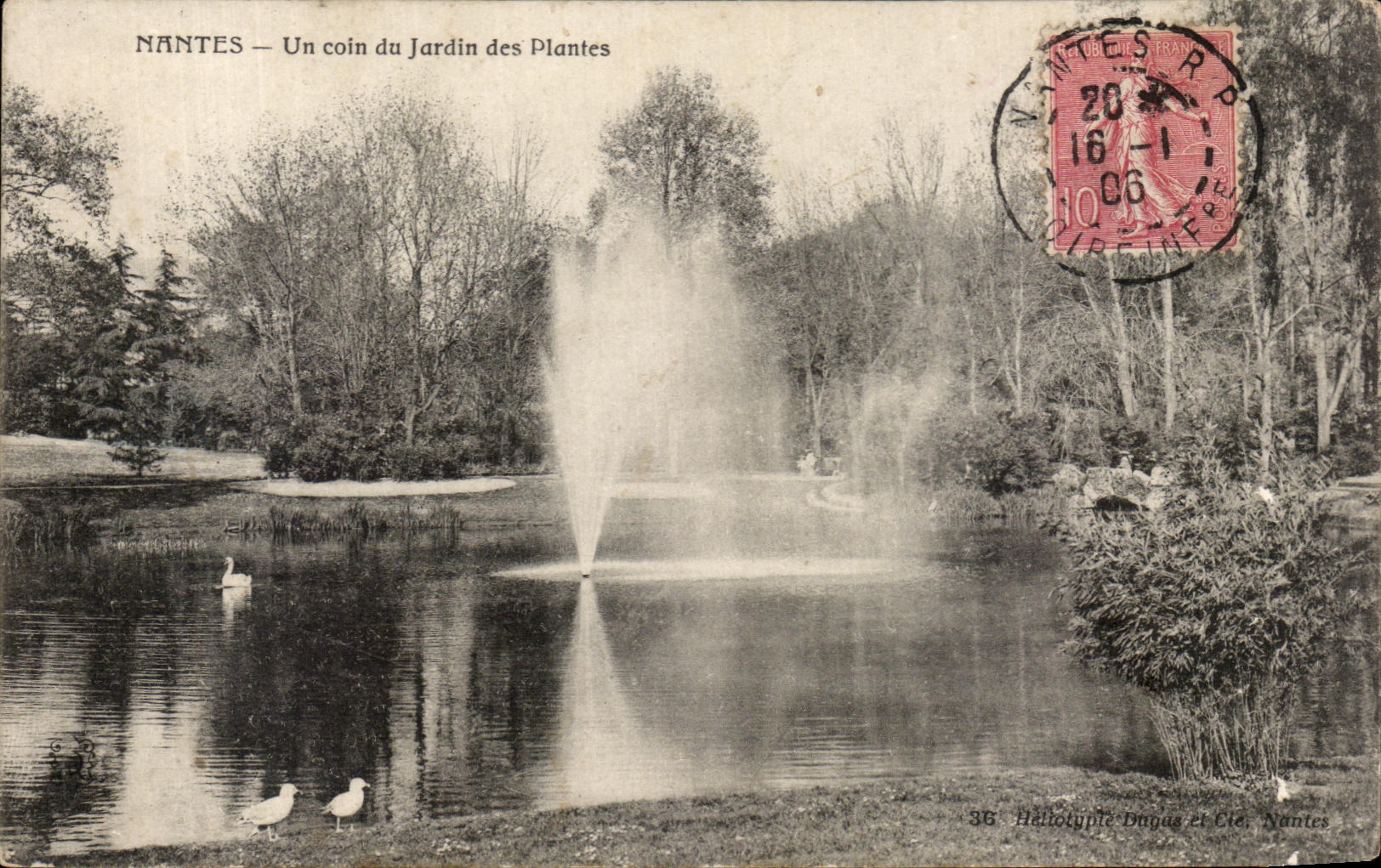 CPA Nantes Un Coin du Jardin des Plantes