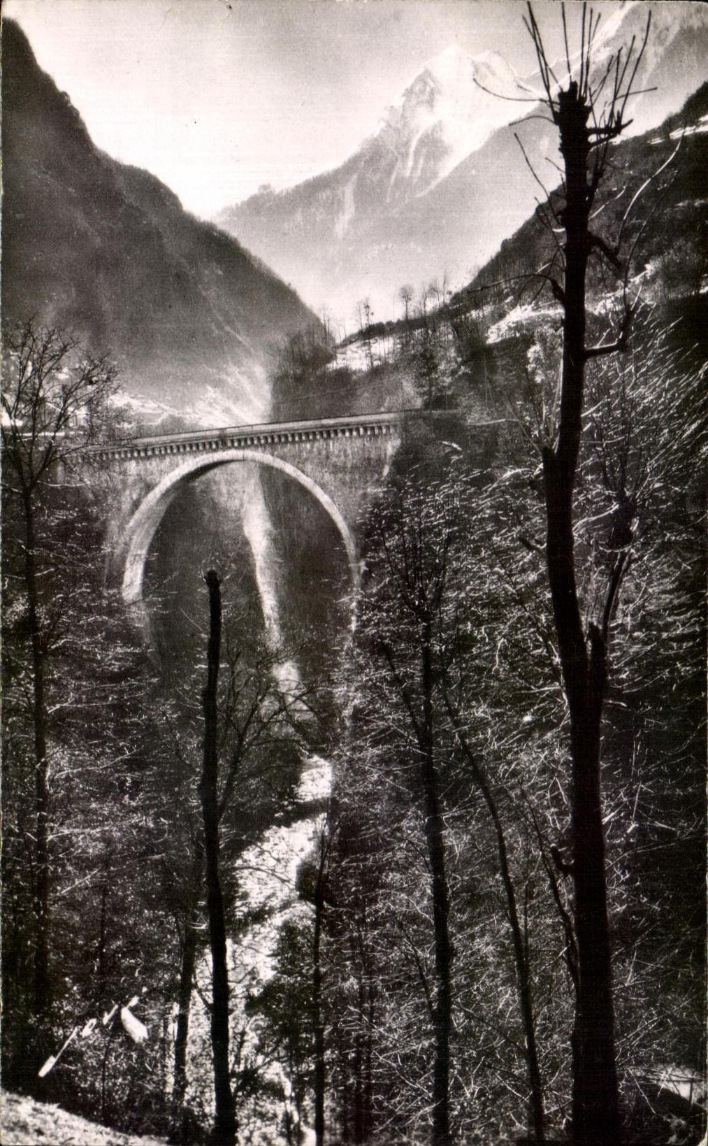 CPA Luz Saint Sauveur Le Pont Napoleon