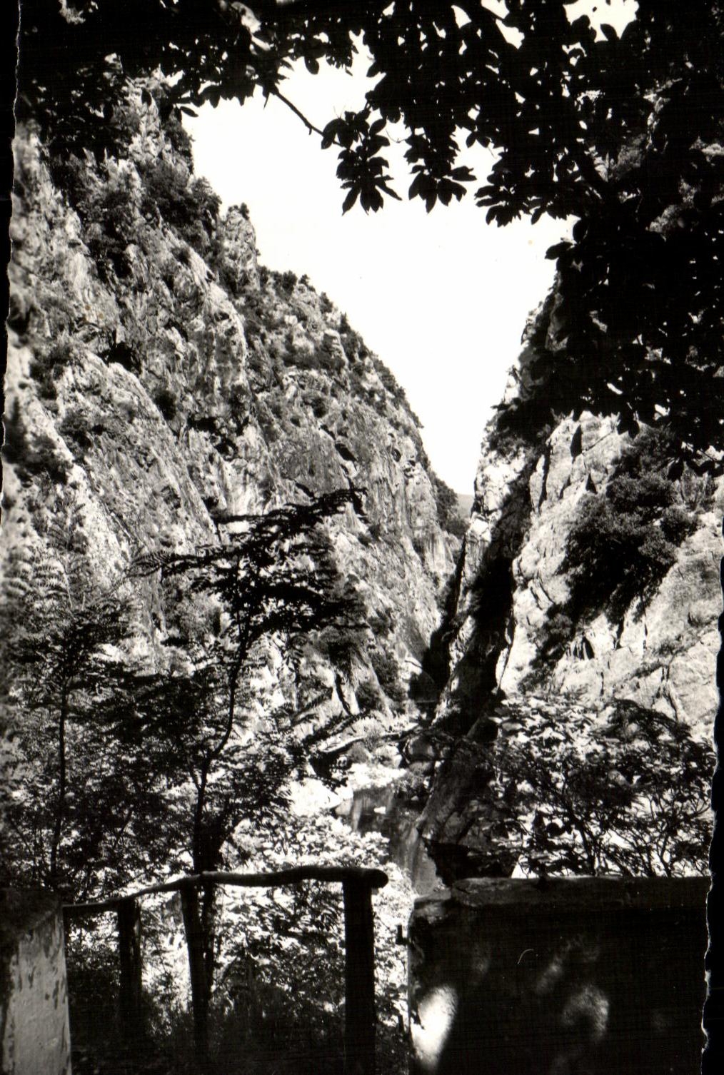 CPA Amelie Les Bains Perle Des Pyrenees Gorges Du Mondony