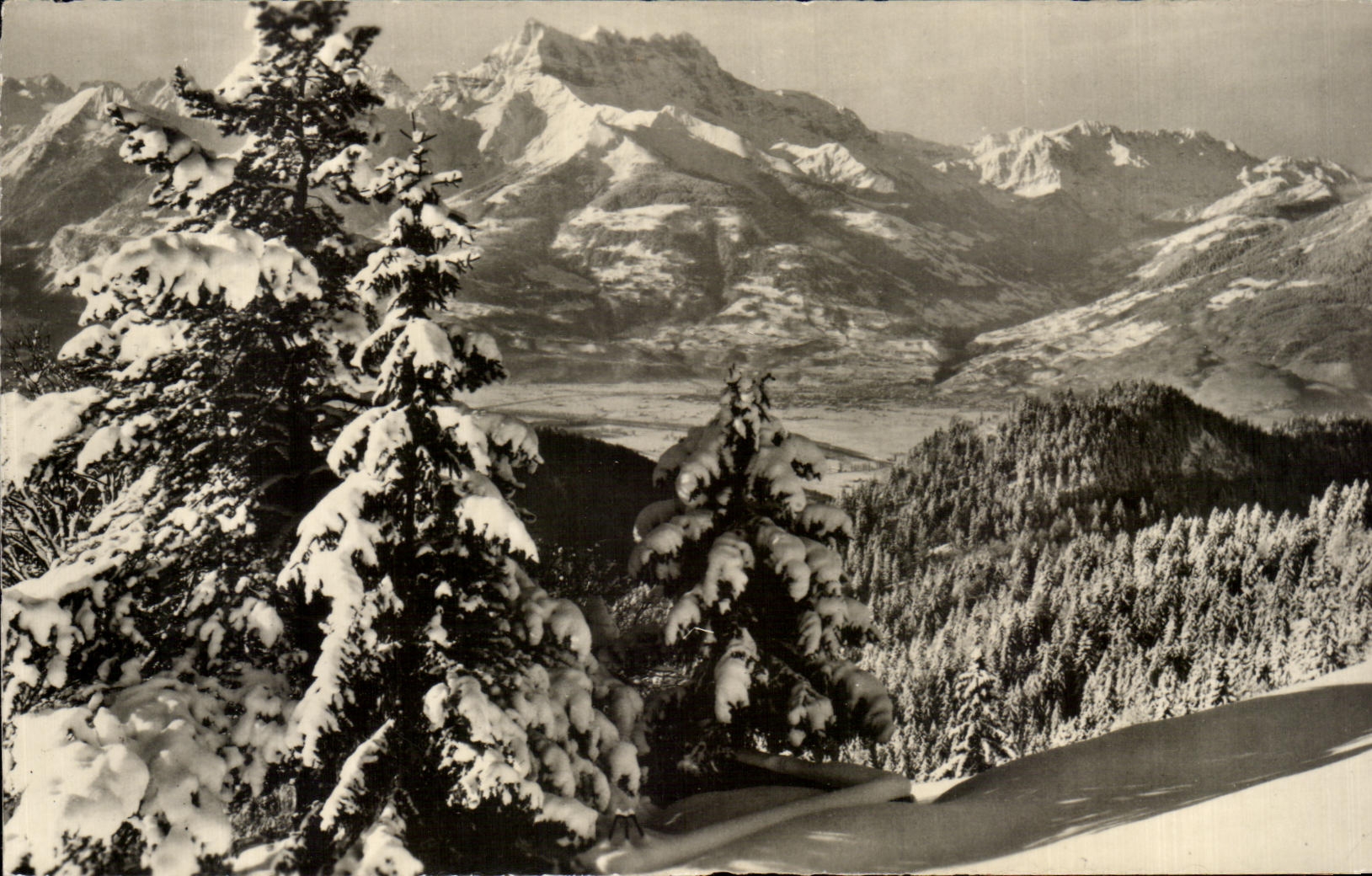 CPA Leysin La valle du Rhone et les Dents du Midi