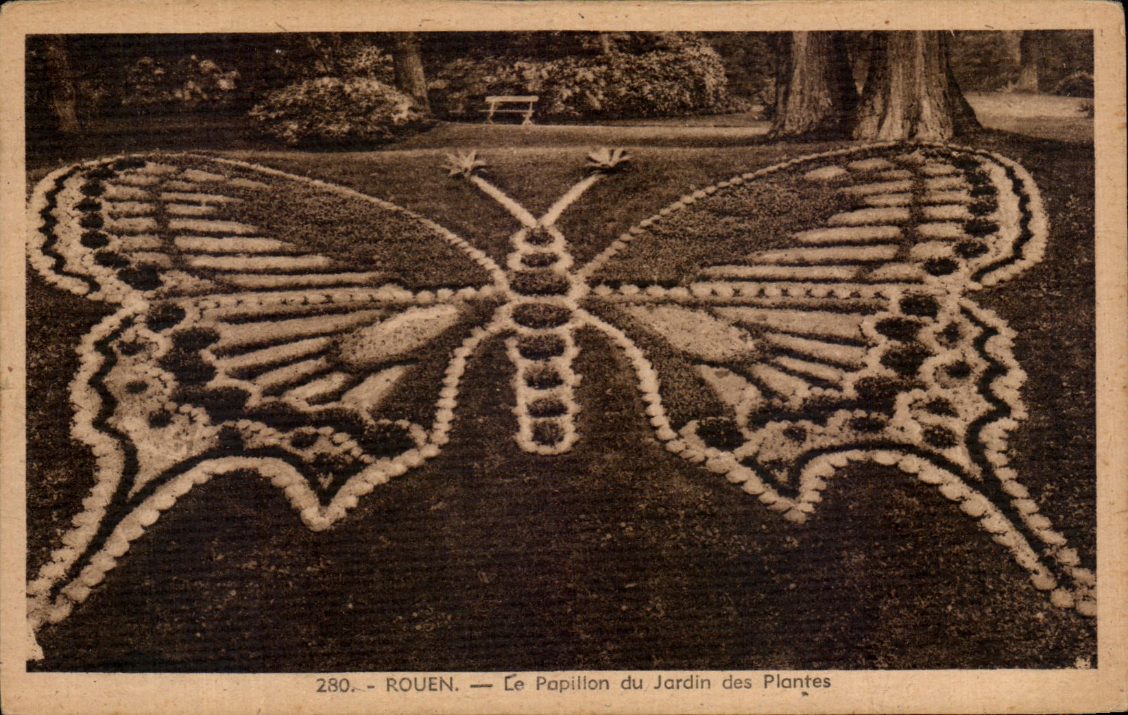 CPA Rouen Le Papillon du Jardin des Plantes