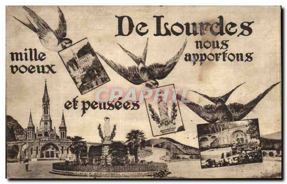 CPA De Lourdes nous apportons Hirondelles 