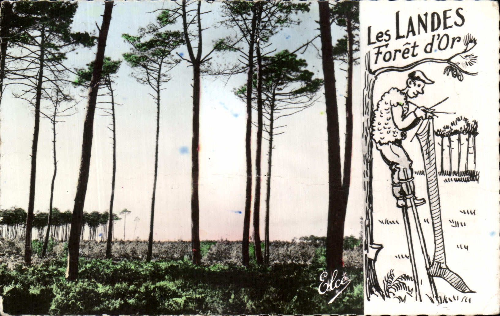 Les Landes — Forêt d'Or — Éditeur Elcée