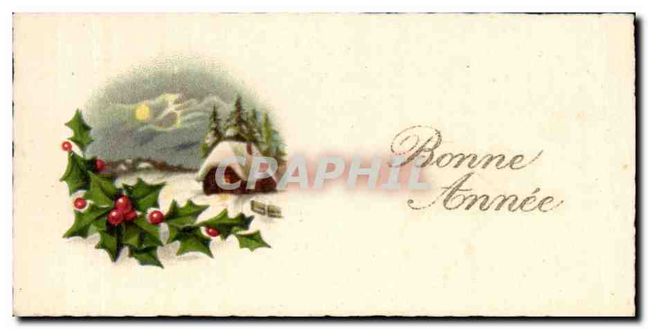 CPA Fantaisie Fleurs Bonne Annee