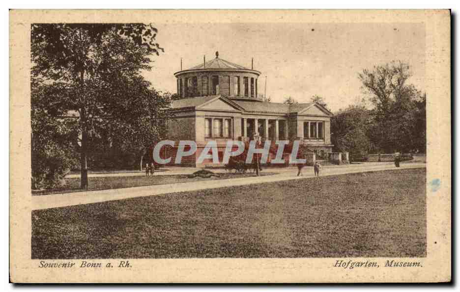 CPA Souvenir Bonn Hofgarten Museum
