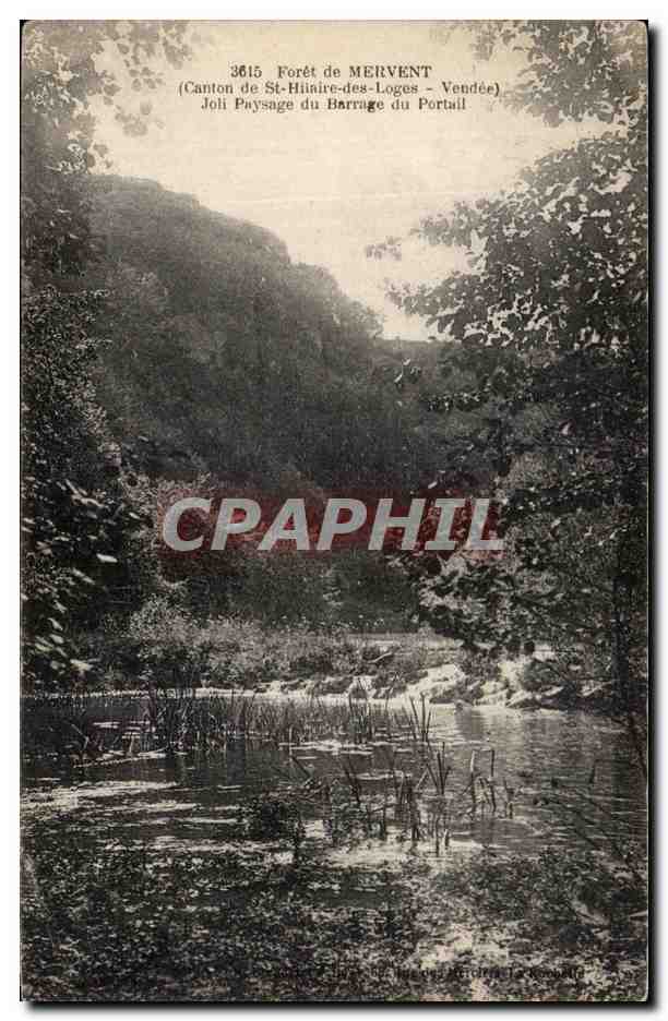Forêt de MERVENT — Canton de St-Hilaire-des-Loges — Paysage du Barrage du Portail — n° 3615