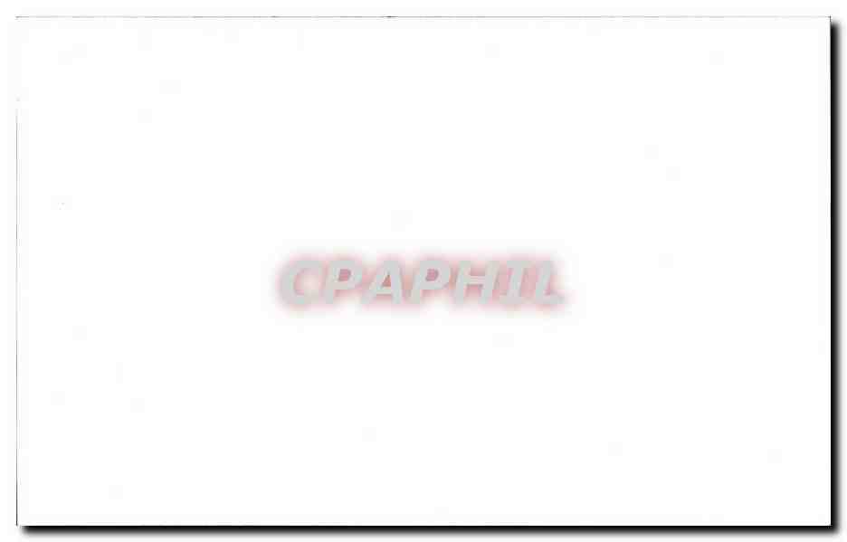 CPM Meilleurs Voeux canards oies sauvages — Rückseite