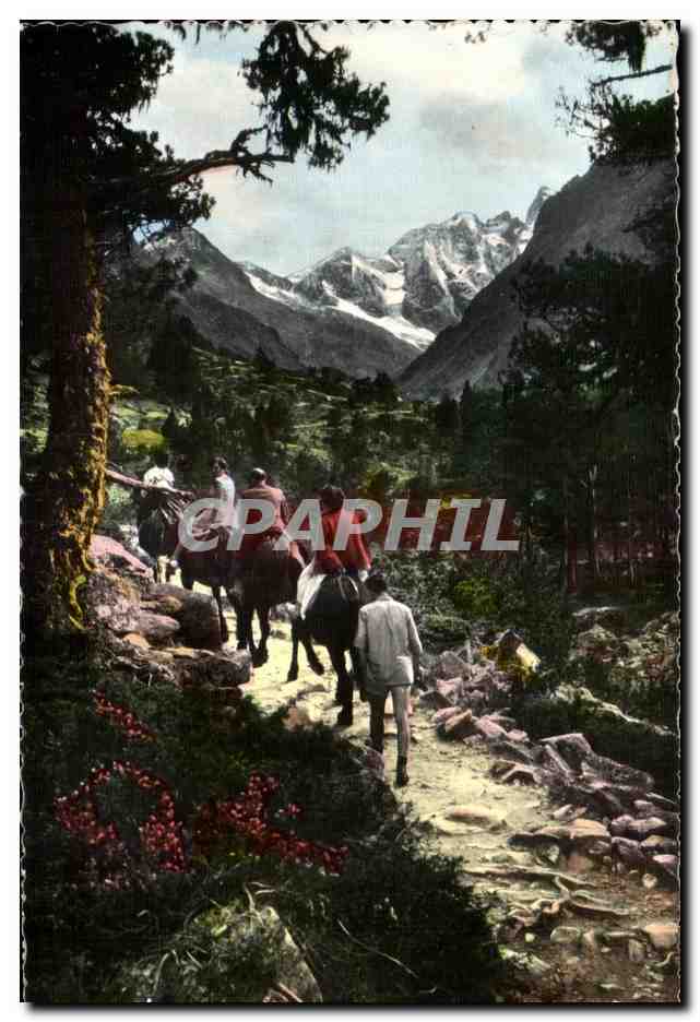 Chemin du Lac de Gaube — Cauterets (H-P) — Éditions Jove