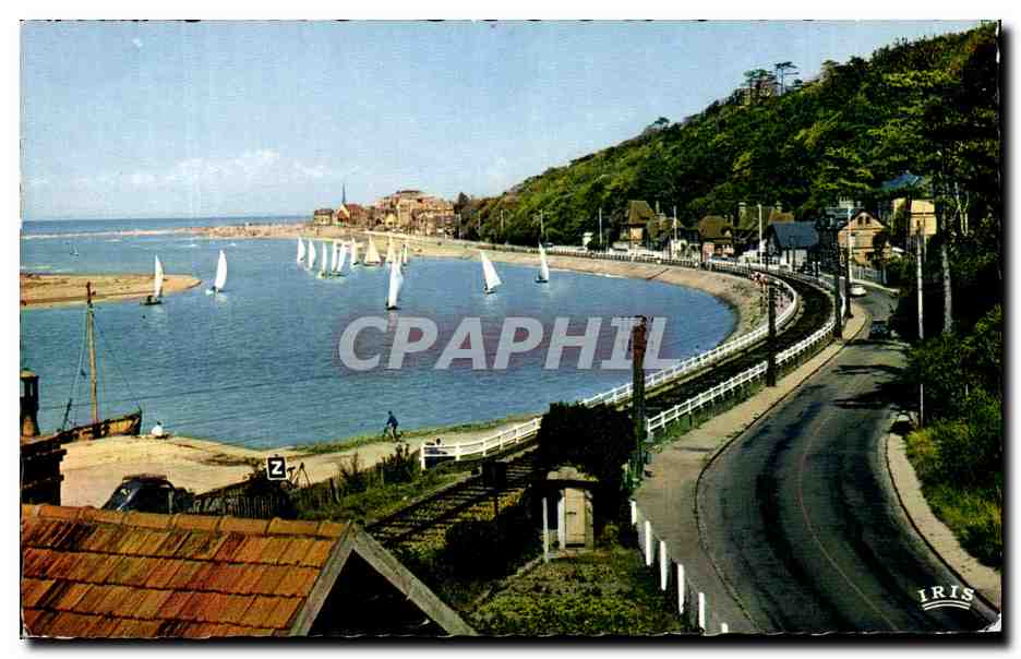 Cabourg — Petite Côte d'Azur — Iris