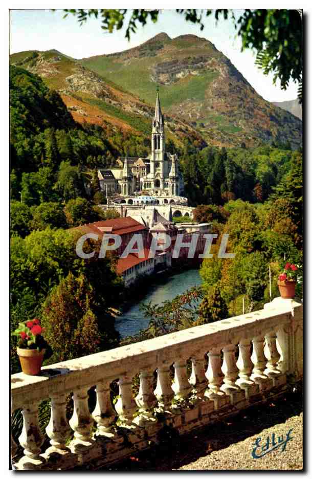 CPSM Lourdes La Basilique et le Gave 
