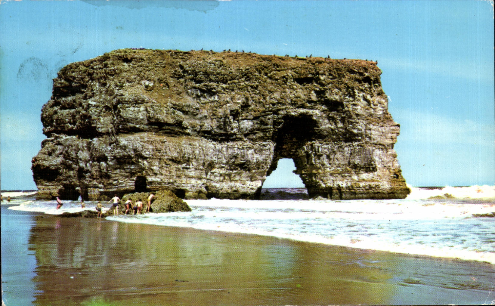 CPM The Rock Masseen Bay South Shields