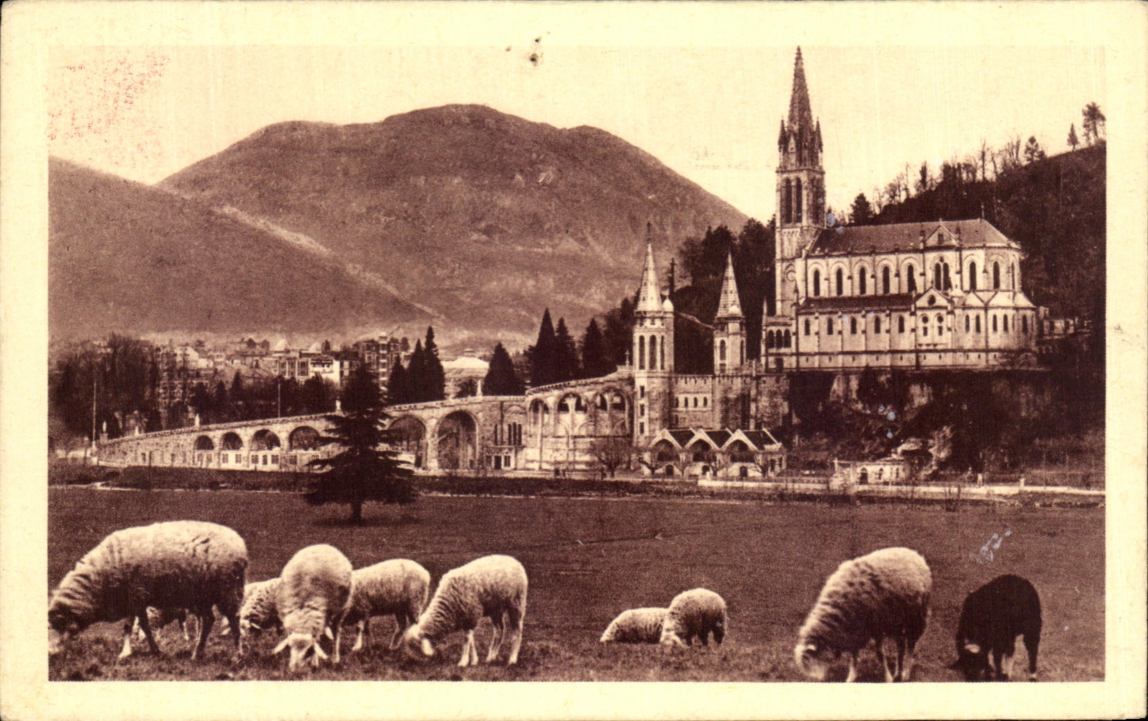 CPA Lourdes La Basilique et le Pic du Jer Moutons
