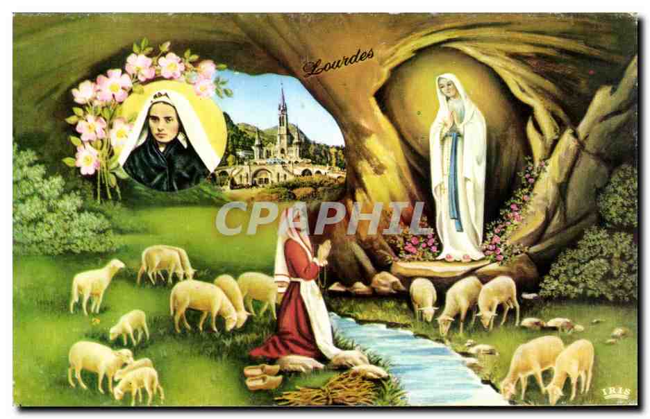 CPSM Lourdes L'Apparition Moutons