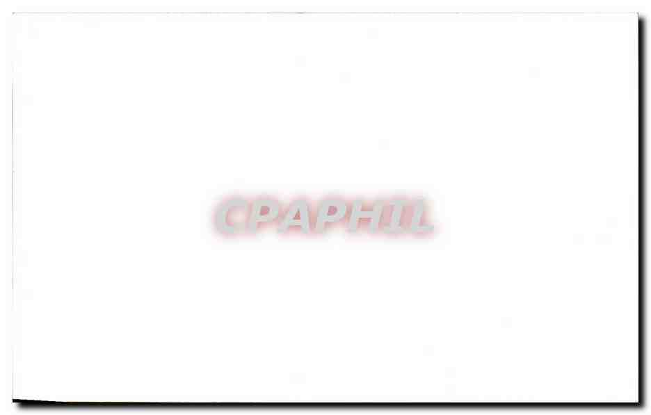 CPM Meilleurs Voeux Canards Oies sauvages oiseaux — Rückseite