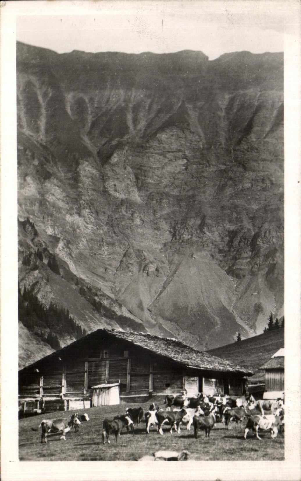 Alpage de Savoie sous les crêtes de la Chaîne du Joly — L. MORANT, Mégeve