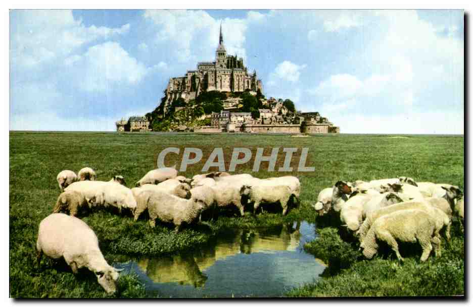 Mont Saint-Michel — Moutons dans les prés salés — Les Éditions du Gabier