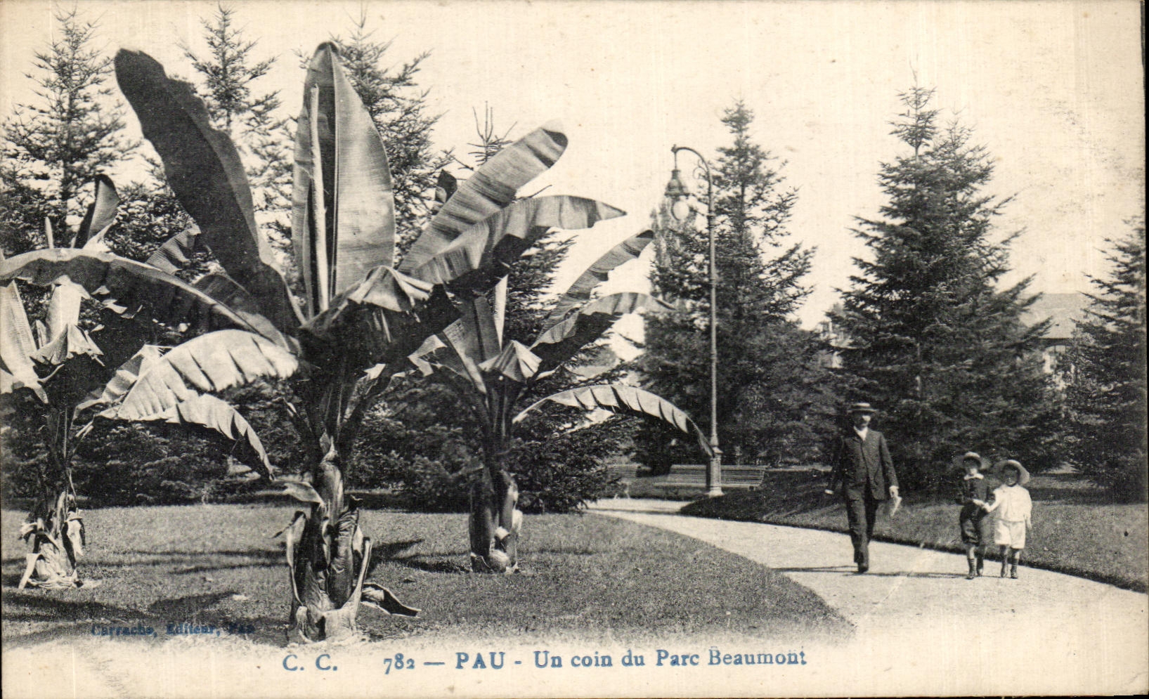 PAU - Un coin du Parc Beaumont — C. C. Éditeur, n° 782