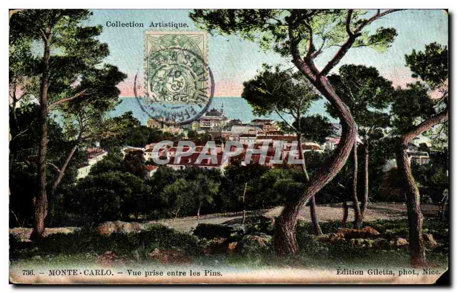 CPA Monte Carlo Vue Prise entre les Pins