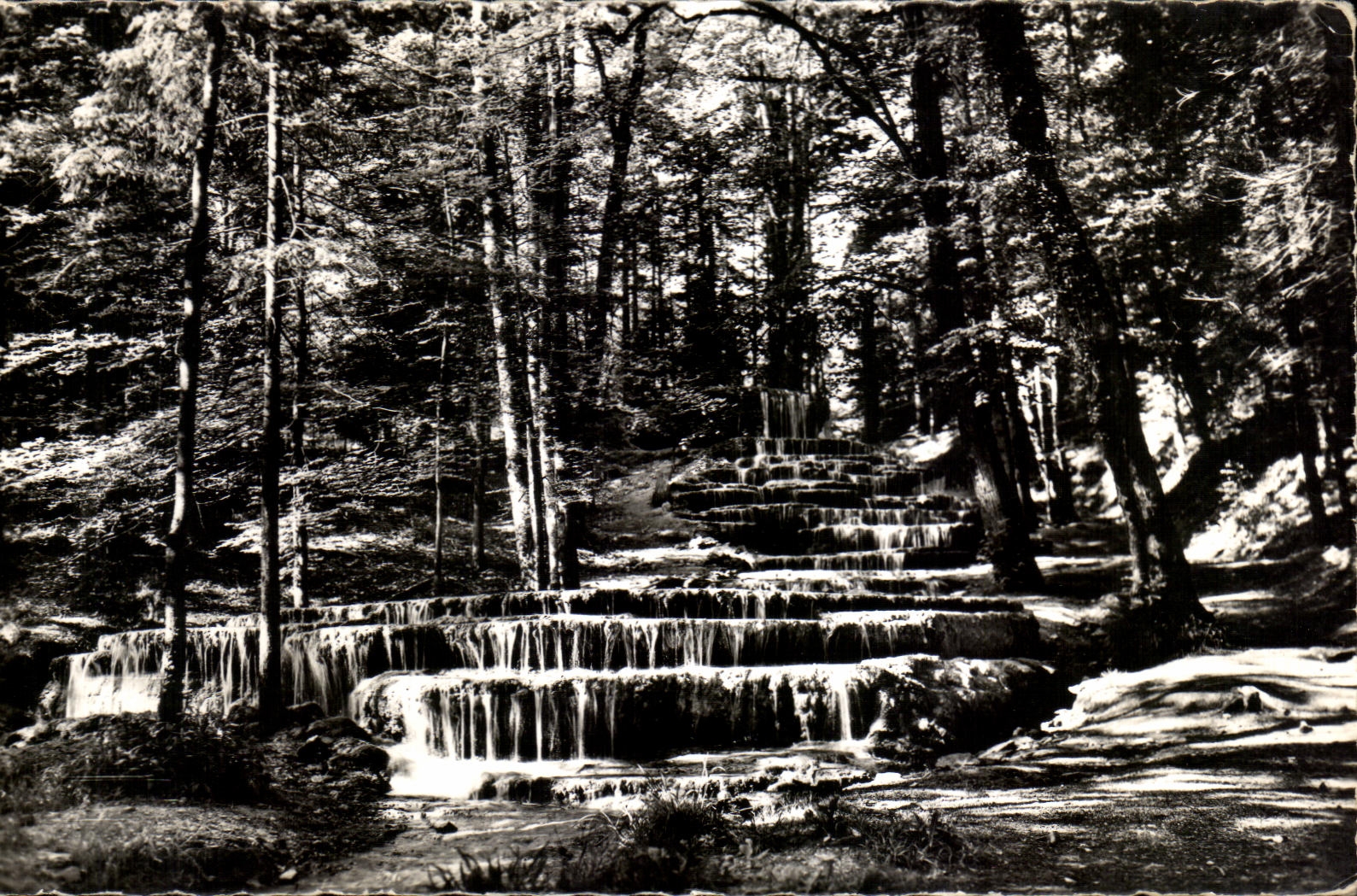 CPSM La Haute Marne Pittoresque Cascade petrifiante D'Etuf