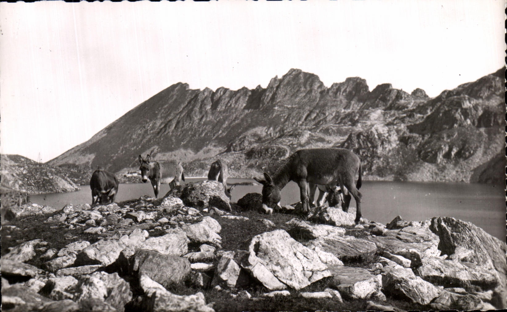 Lac de la Motie — Environs d'Allevard — Sept Laux — Édition de la Maison Alpine