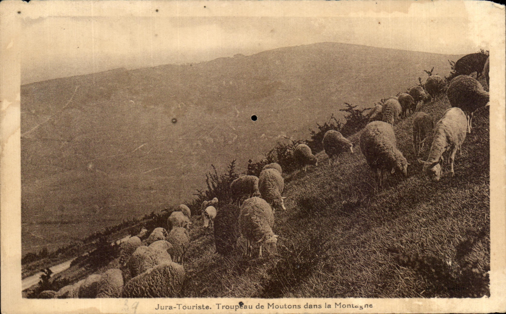 CPA Jura Touriste Troupeau de Moutons dans la Montagne