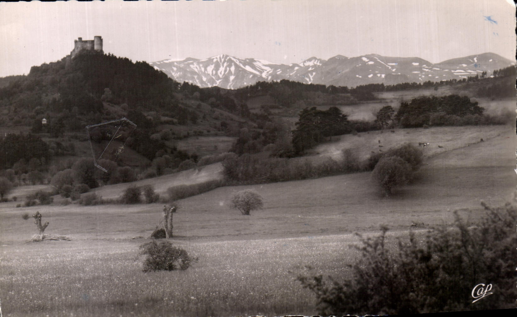 CPA Murol Le Chateau et le Massif du Sancy