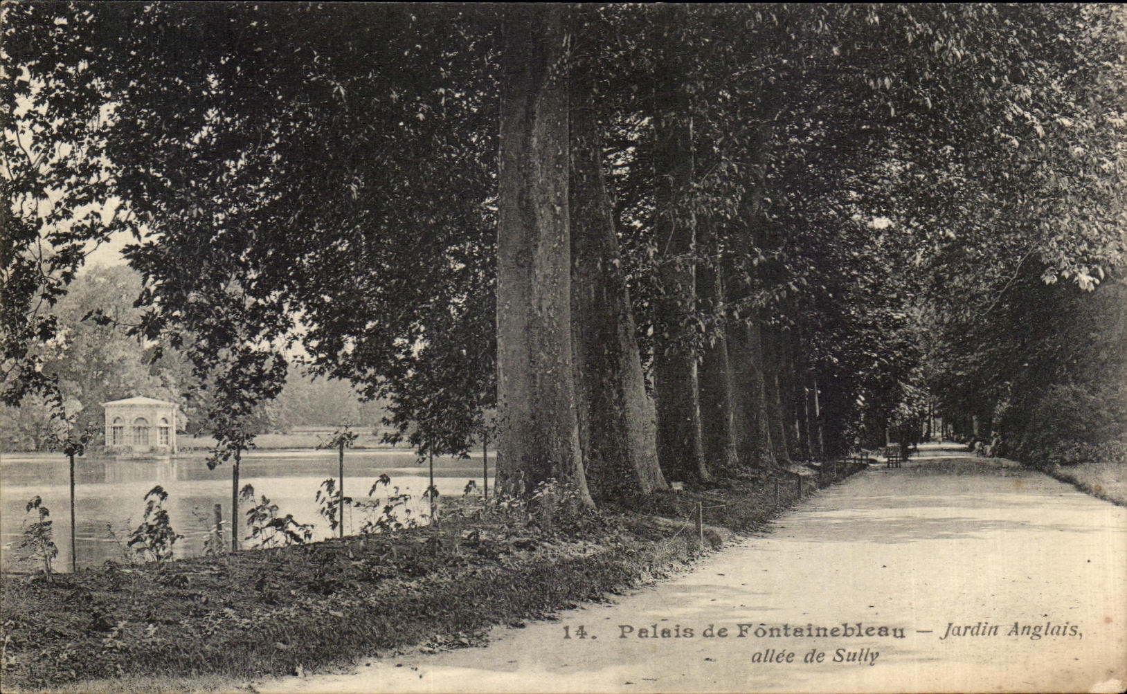 Palais de Fontainebleau — Jardin Anglais, allée de Sully — n°14